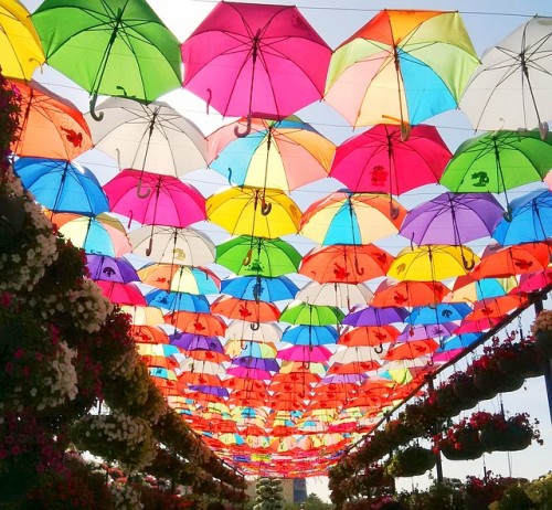 カラフルな傘たち